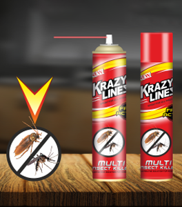 Best Multi Insect Killing Spray