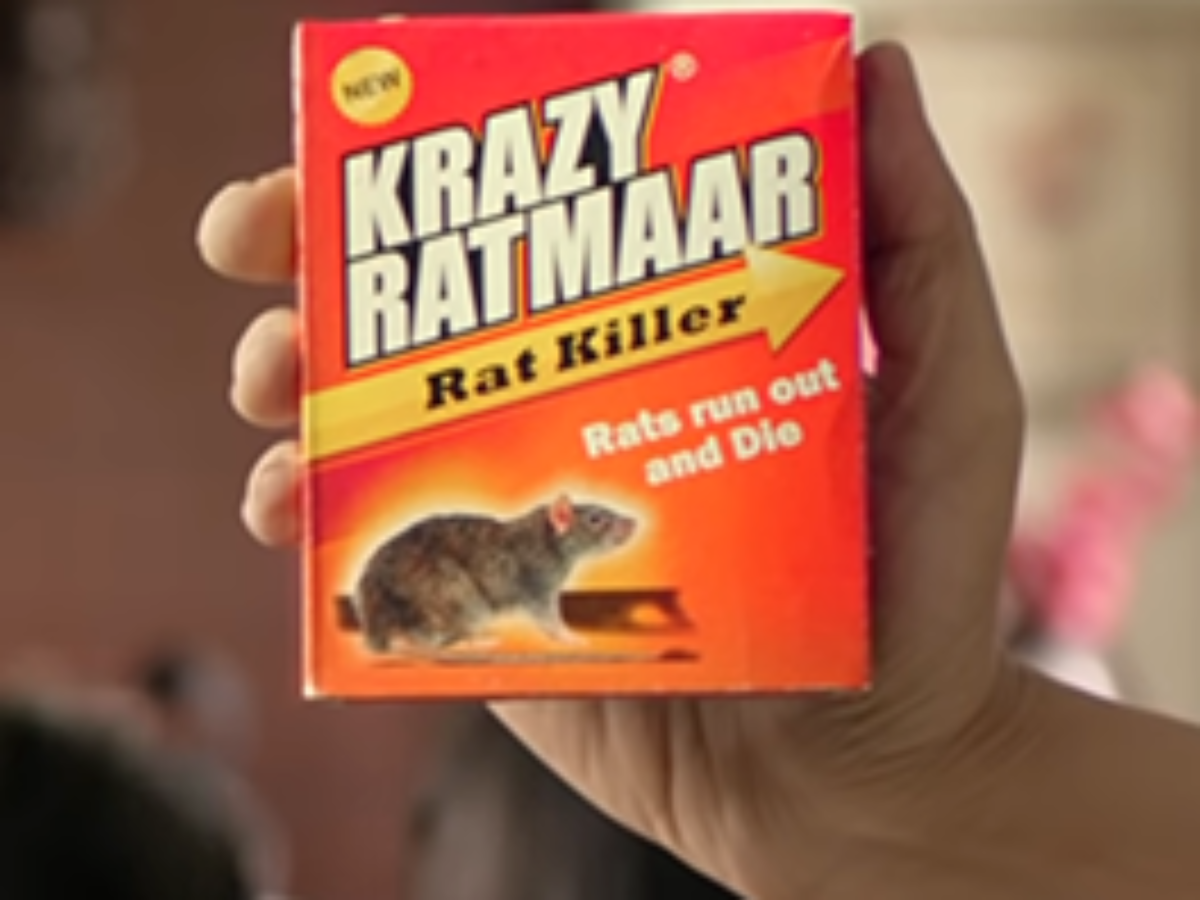 Krazy Ratmaar 100g (Pack Of 3) - Midas Hygiene Industries Pvt. Ltd.