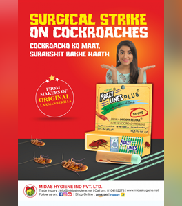 Best Chalk for Cockroach