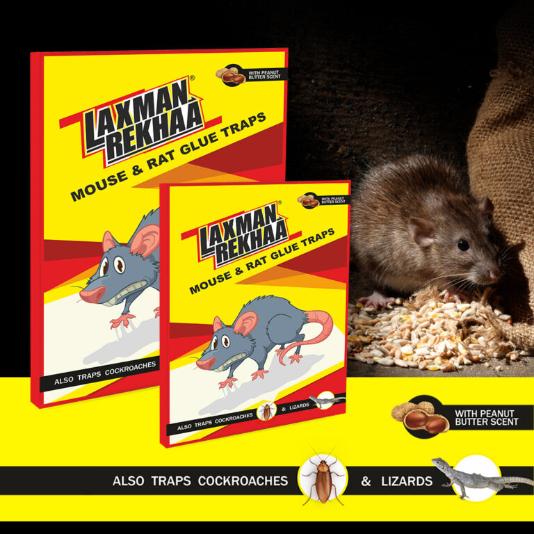Laxman Rekhaa Mouse & Rat Glue Traps Long Rat Pad (Pack of 2) Midas Hygiene Industries Pvt. Ltd.