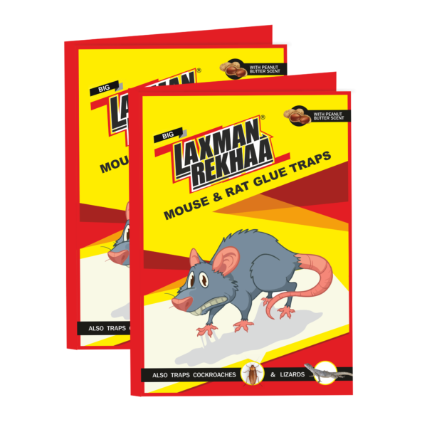 Laxman Rekhaa Mouse & Rat Glue Traps - Big Rat Pad (Pack of 2)