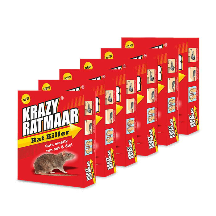 Krazy Ratmaar 25g (Pack Of 6)