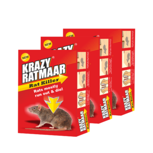Krazy Ratmaar 100g Pack of 3